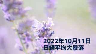 株式ブログ221011