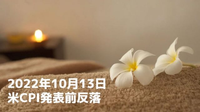 株式ブログ221013