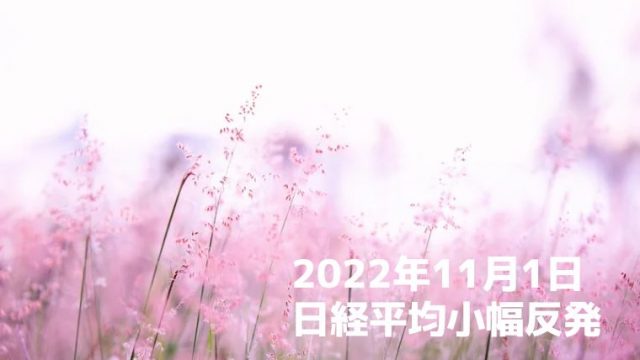 株式ブログ221101