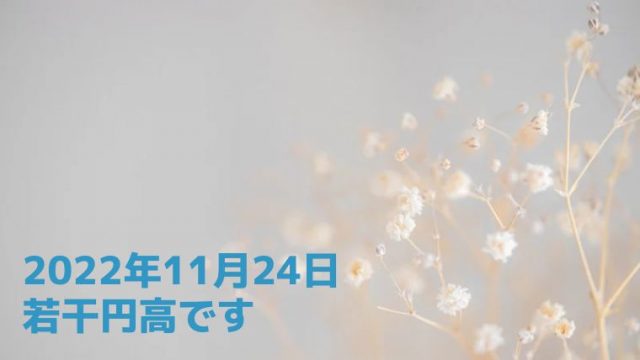 株式ブログ221125